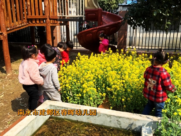 附件：conew_img_8509.jpg