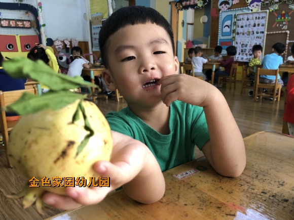 附件：IMG_1332.JPG