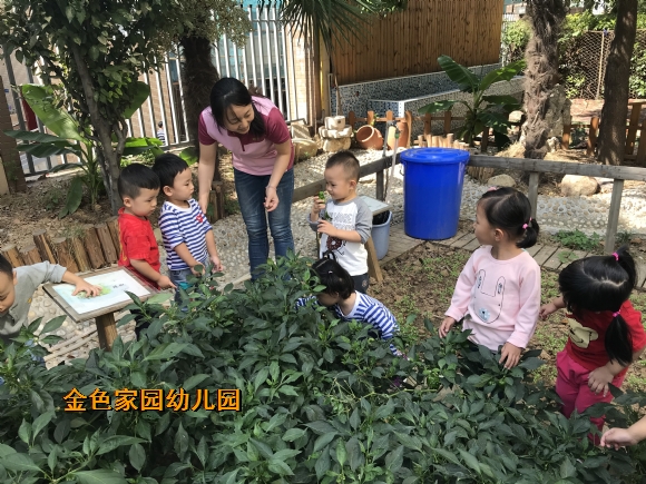 附件：IMG_1587.JPG