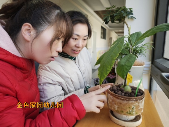 附件：IMG_20250317_130447.jpg