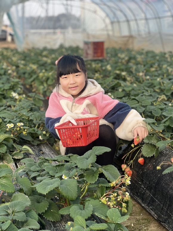 附件：56.jpg