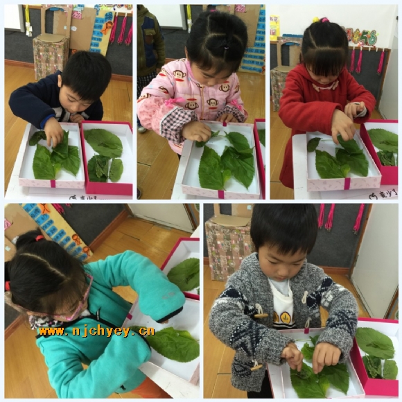 附件：conew_img_2195_conew1.jpg