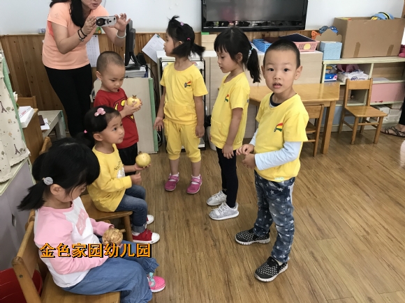 附件：IMG_1717.JPG