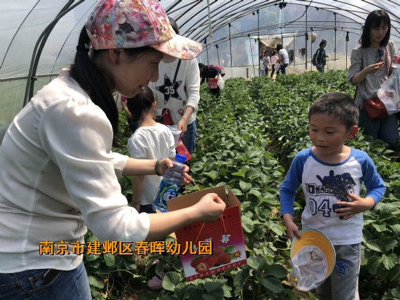 附件：IMG_4142.JPG