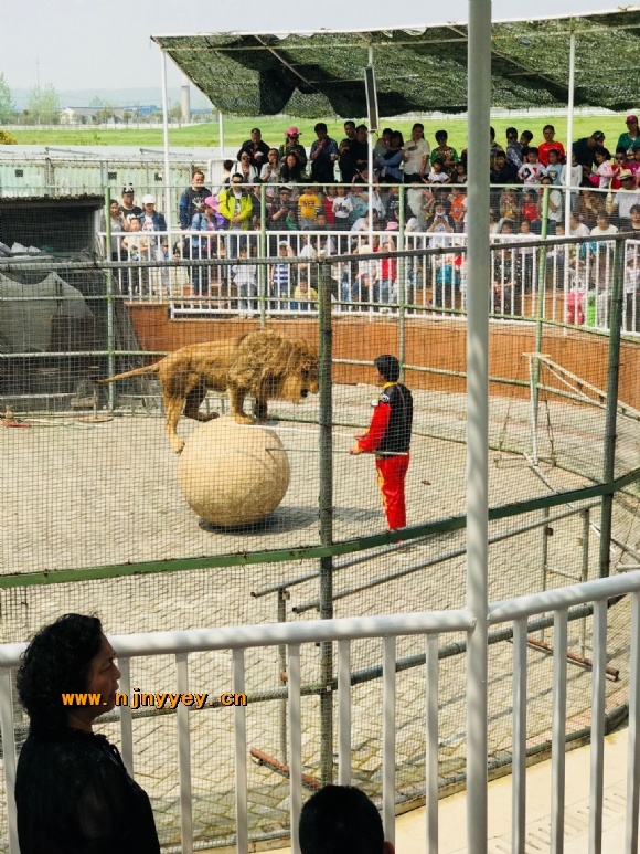 附件：QQ图片20180404100920.jpg
