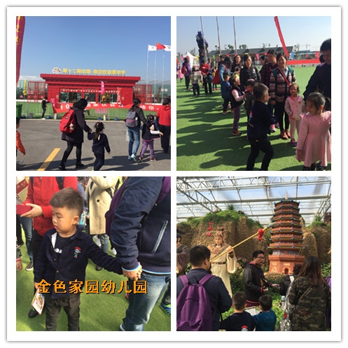 附件：IMG_1313_副本1.jpg