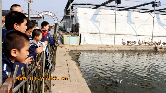 附件：2.JPG