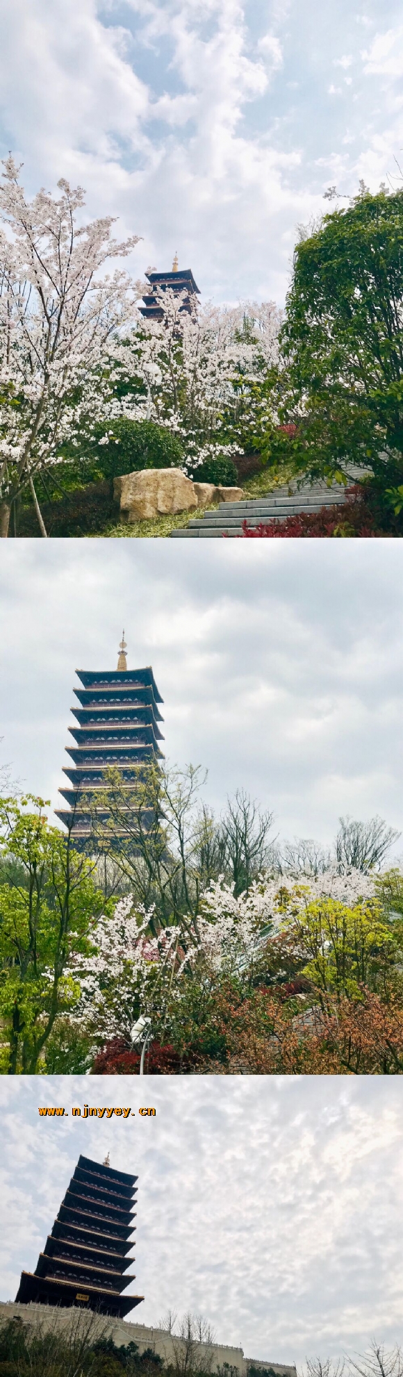 附件：QQ图片20190328133051.jpg