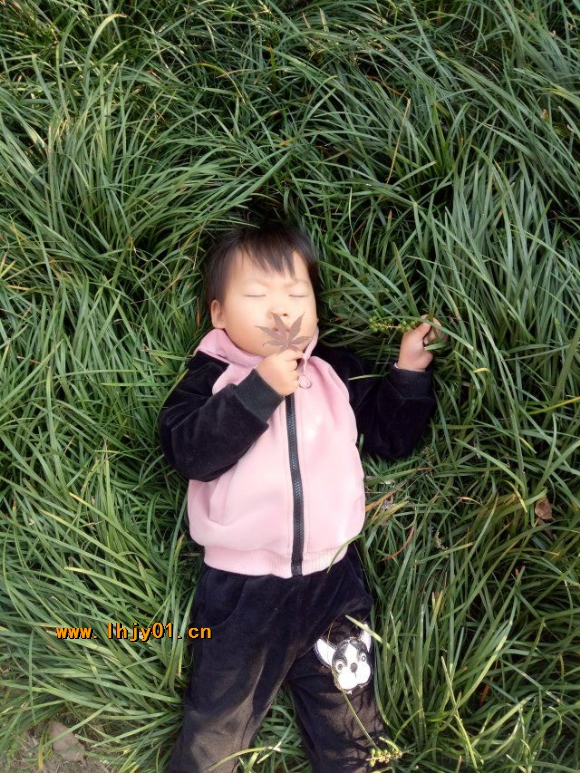 附件：QQ图片20171030102053.jpg
