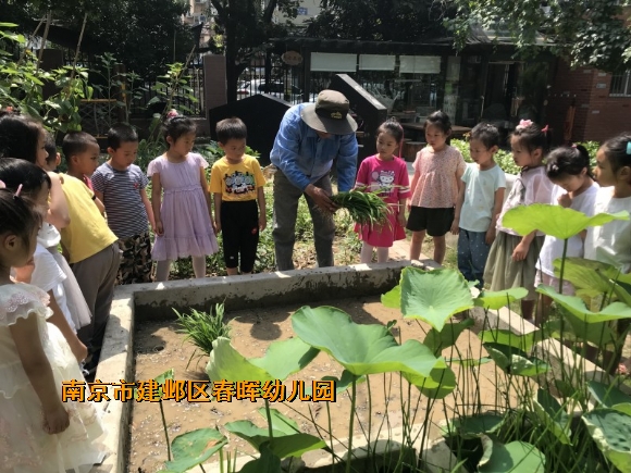 附件：conew_img_6247.jpg