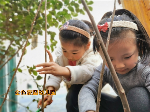 附件：IMG_20220309_092248.jpg