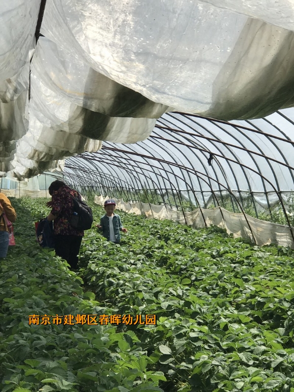 附件：conew_img_3491.jpg
