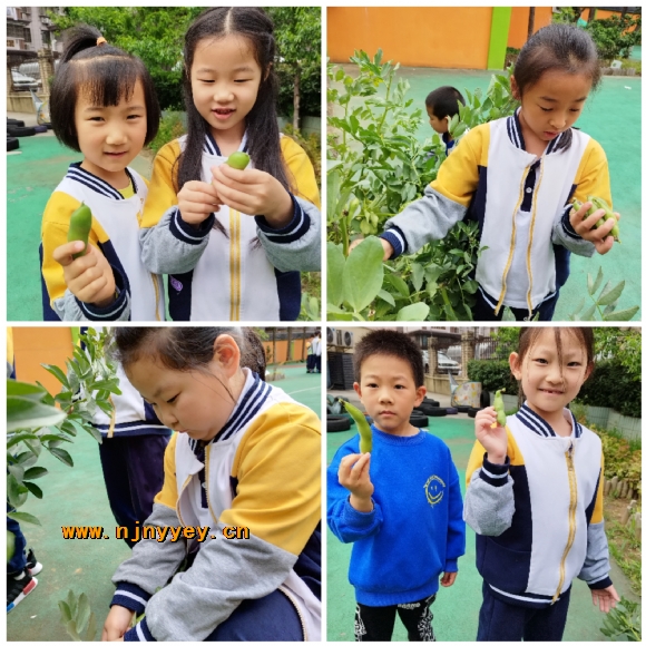 附件：4.jpg