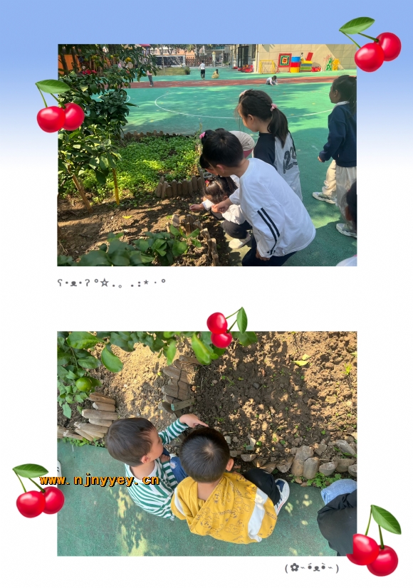 附件：IMG_6300.jpg