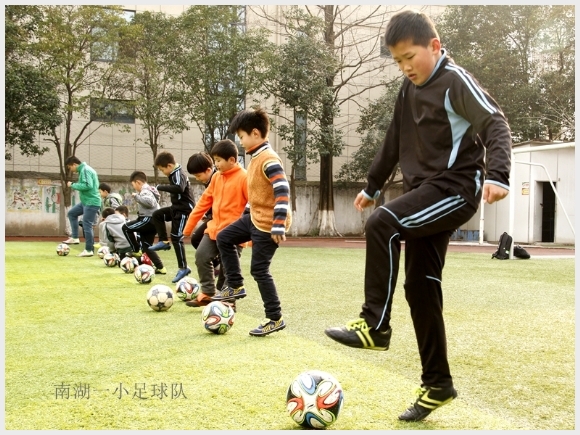附件：_MG_9919.JPG