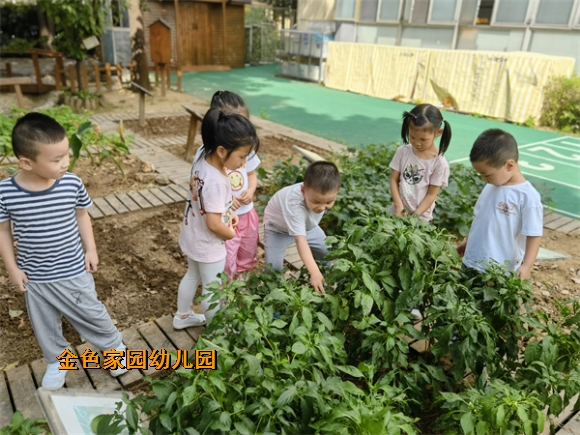 附件：mmexport1632637012201.jpg