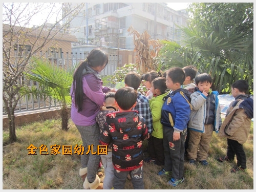 20140314153526235.jpg