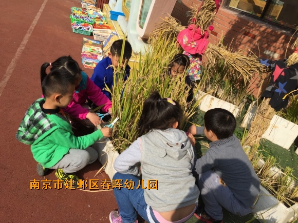 附件：conew_img_6183.jpg