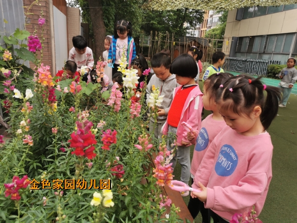 附件：IMG_20220511_113909.jpg