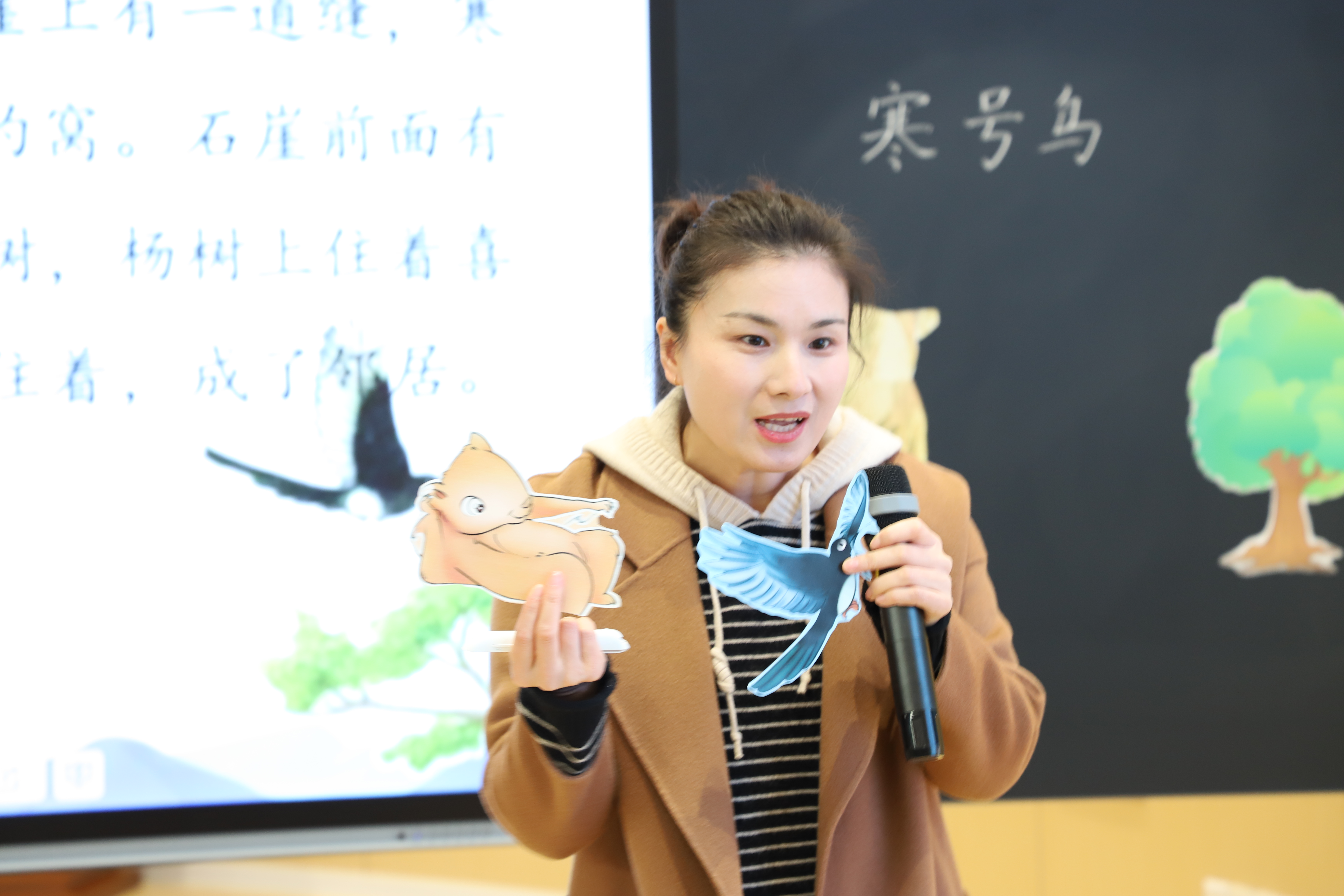 金菊寒号鸟 (2).JPG