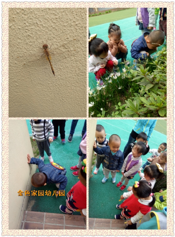附件：1.jpg
