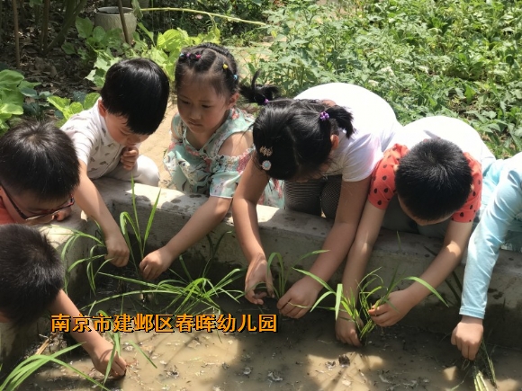 附件：conew_img_6291.jpg