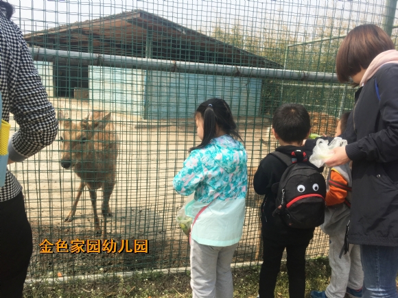 附件：IMG_6335.jpg