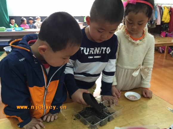 附件：conew_img_1898.jpg