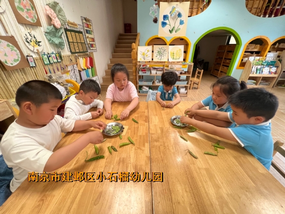 附件：59130e19988e75eecb65043395f82c99.jpg