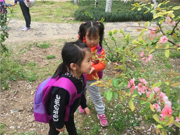 附件：QQ图片20180404124810.jpg