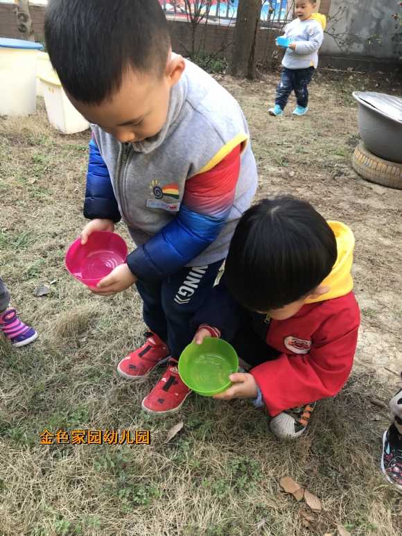 附件：IMG_5391.JPG