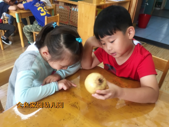 附件：IMG_3992.jpg