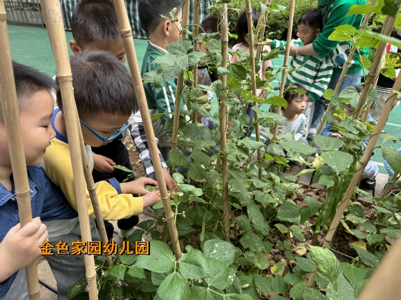 附件:IMG_7579.JPG 附件:IMG_7579.JPG