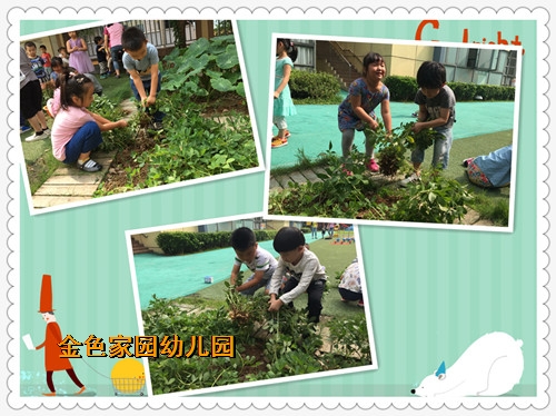 附件：5.jpg