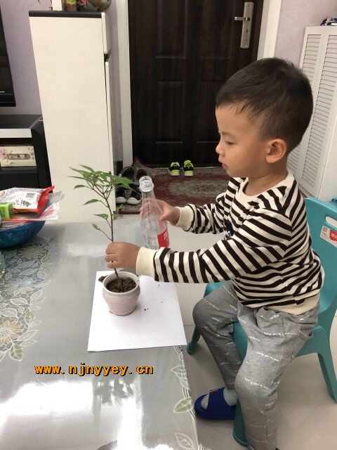 附件：QQ鍥剧墖20181008230351.jpg