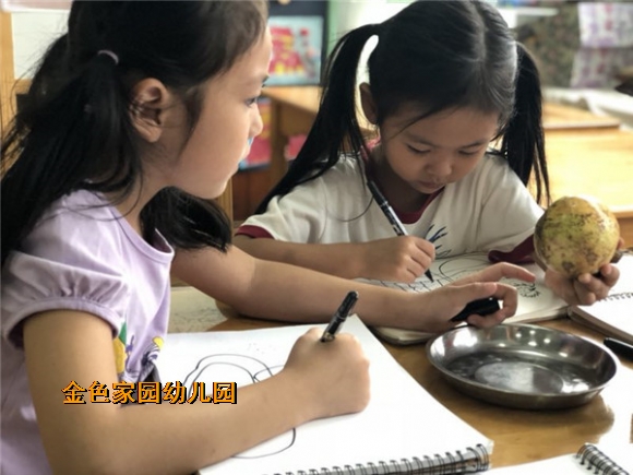 附件：AACCEF1EDCFEDA2C7F2D9B22EF70A5B8.jpg