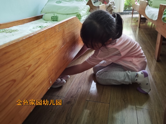 附件：IMG_20220525_114555.jpg.jpg