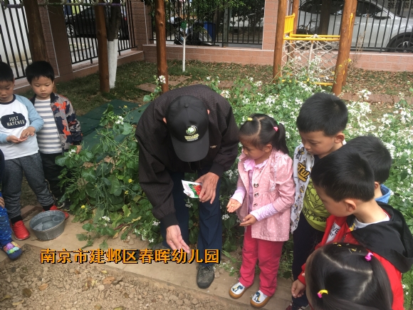附件：IMG_2685.JPG