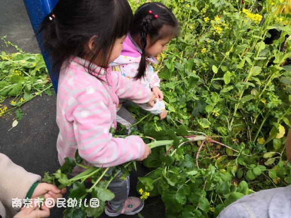 附件：IMG_20190403_100949.jpg