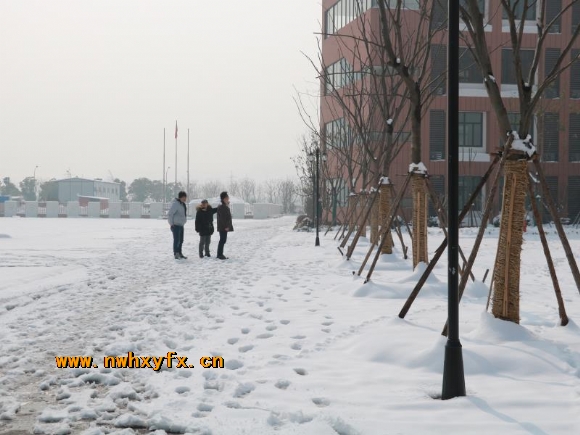 附件：IMG_4651.JPG