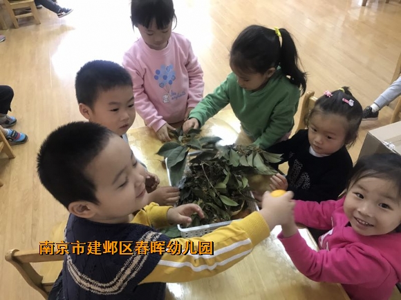 附件：IMG_6148.JPG