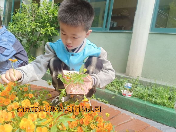 附件：IMG_1008.PNG