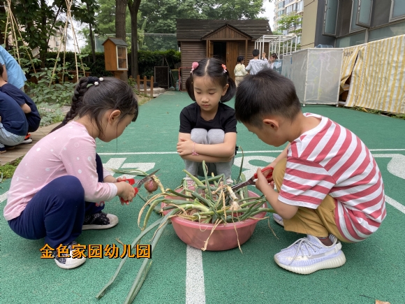 附件：27.2.jpg