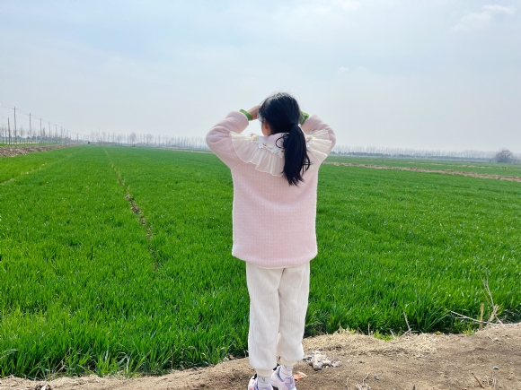 附件：E8C5B2506999AE697D3CEB195ED71C38.png