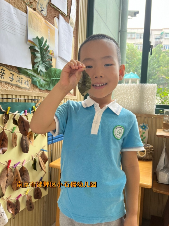 附件：e9c1b431634a8d0ecb85a30af943f0ca.jpg