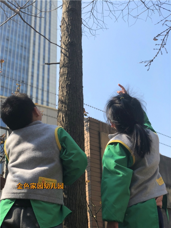 附件：817116565711280488.jpg