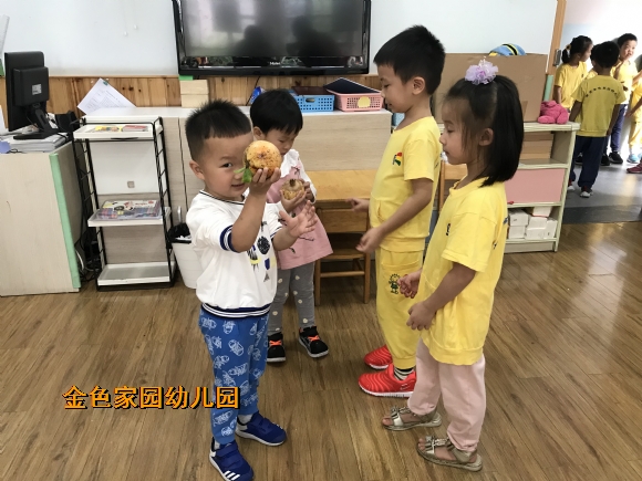 附件：IMG_1722.JPG
