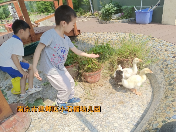 附件：IMG_20230615_093523.jpg