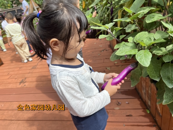 附件：IMG_4141.JPG