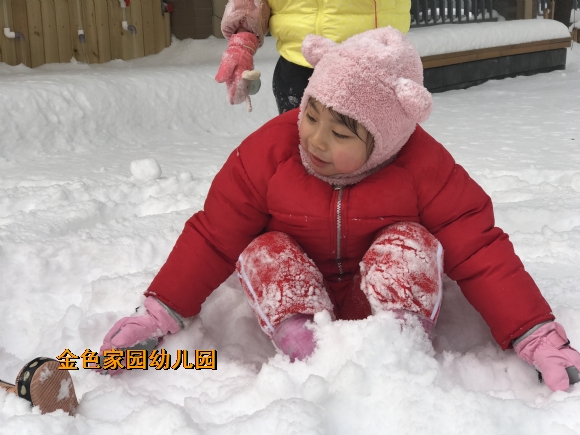 附件：IMG_0409.JPG